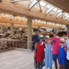 santorini-wine-history-private-tour