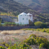 santorini-wine-tour (2)